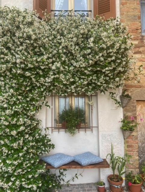 דירות אקווביבה פיצ'נה La Casa Del Gelsomino מראה חיצוני תמונה